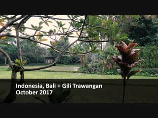 Indonesia, bali + gili trawangan