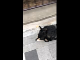 [20191229] instagram u hwa