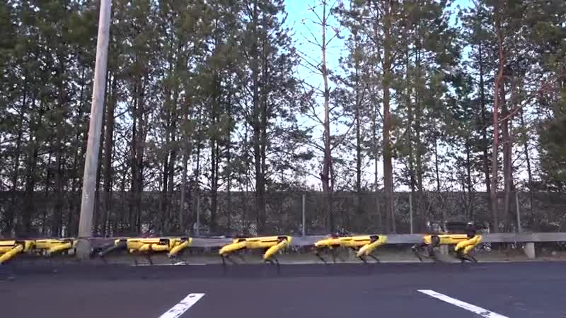 Роботы boston dynamics тянут грузовик