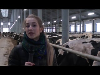 Примерочная 4 вечерняя дойка