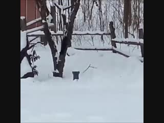 Видео от косметичка залдостанова