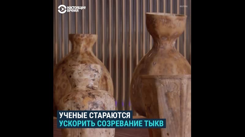 Стакан для кофе из тыквы