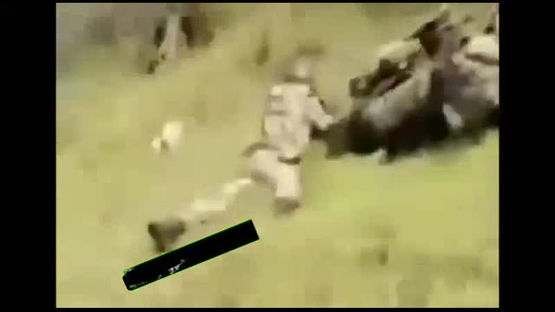 Азербайджанский солдат погиб во время боя, снимая свой последний бой нагорный карабах, осень 2020 г