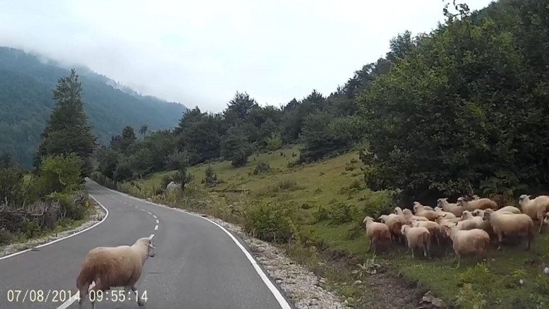 Вендетта шашлыка (vhs video)