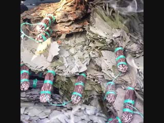 Банька в «семейном дворик»