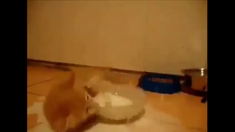 Ну очень усное молочко)