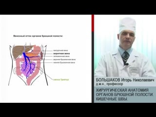 Бльшаков и брюшная полость