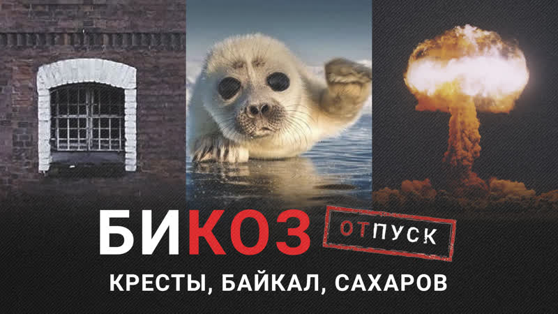 «две жизни» сахарова, байкал и первый русский док на netflix главные неигровые фильмы первой половины 2021