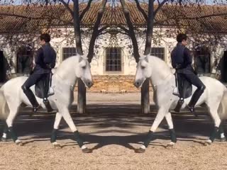 Manuel borba veiga 🔥