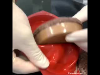 Everything this pastry chef does belongs here today, he posted his latest work