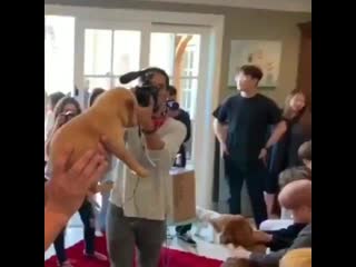 But also look at jaehyun smile when they give the puppy to jungwoo mp4