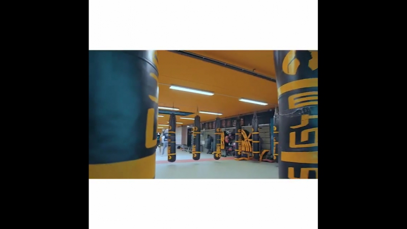 Бадр хари тренироа