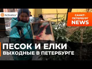 Раздача песка и сбор ёлок в петербурге