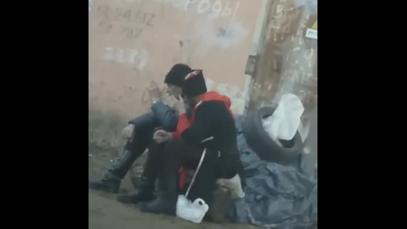 Казаки
