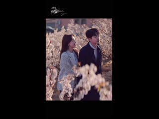 Сунь и чжан вань и / я знаю, что люблю тебя (i know i love you / wo zhi dao wo ai ni 我知道我爱你)