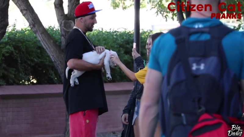 Гангста с песиком пикапит телочек