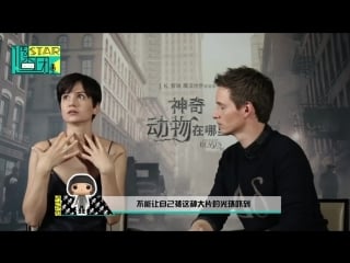 Fantastic beasts cast interview for the japanes journalists