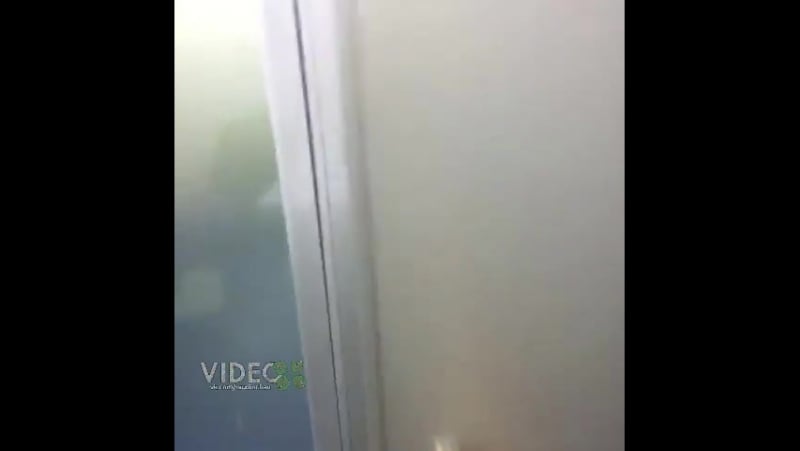 Казашка лает