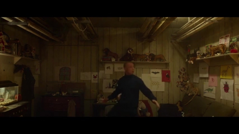 Рауль рамзес (vhs video)