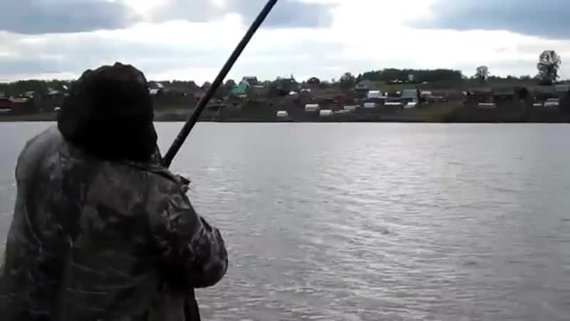 Необычная ловля карпа