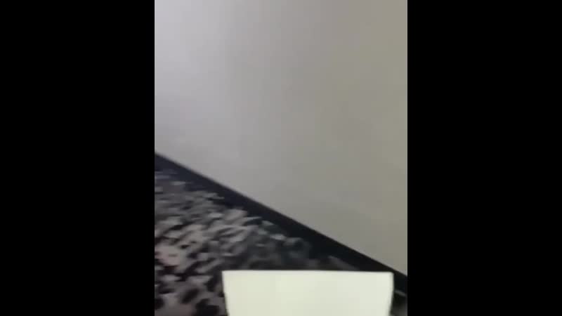 Апогей юмора