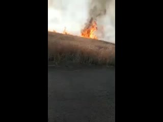 Пожар на сельскохозяйственных полях в селе харба раз в окрестностях города тель абьяд на севере сельской местности ракки #сири