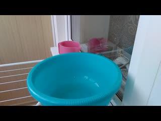 Vid 20190407 090605 mp4