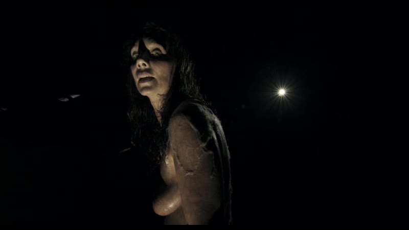 Ассимиляция (assimilate)