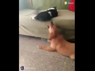 Не мешай