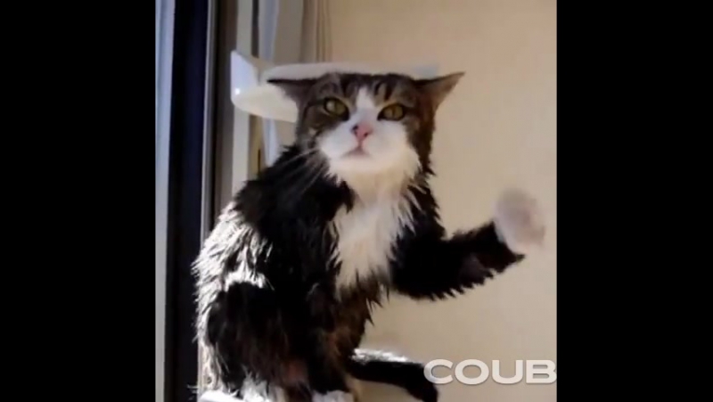 Немного рэпа в ленту)