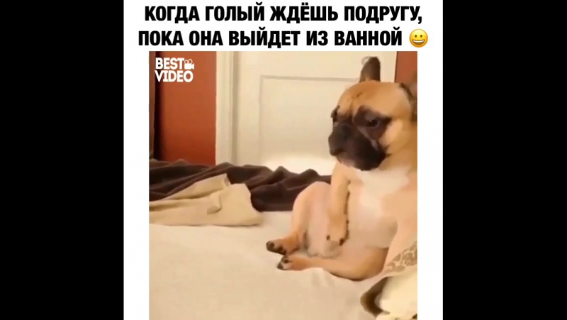Когда голый ждёшь подругу, пока она выйдет из ванной )