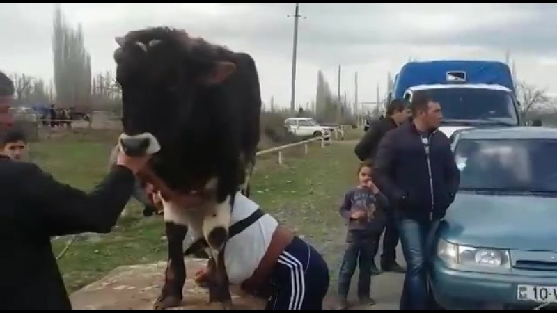 Силач