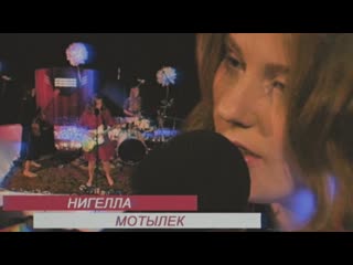 Live нигелла мотылёк
