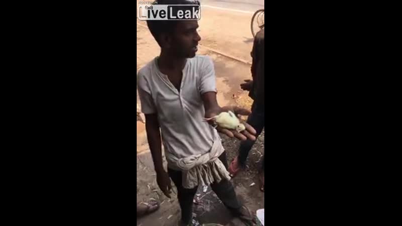 Tarado judeo hindú vendiendo pollos