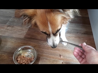 Леся завтракает)