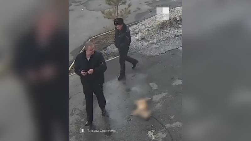 Молодые садистка скрипачка снова выбросила секс из высотки