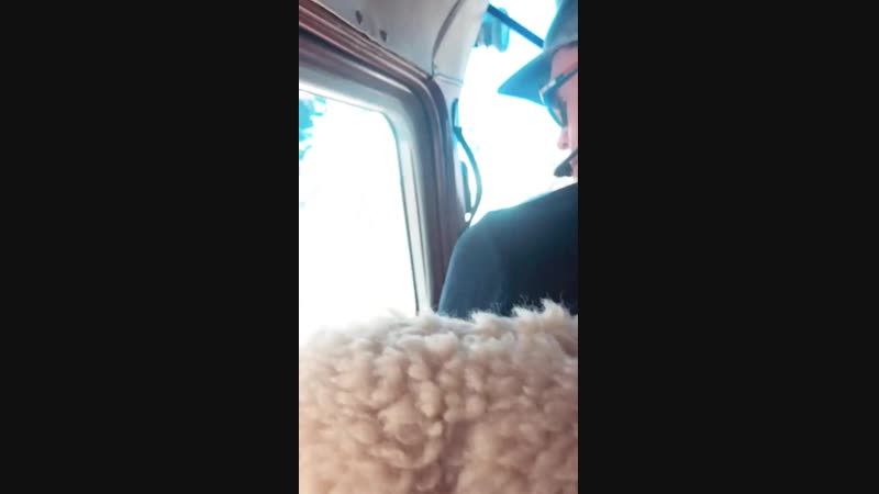 Коул в сторисе друга бостона