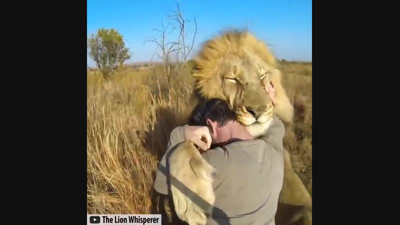 Удивительные объятия молодые | amazing porn hugs