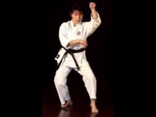 Kojo ryu hakkaku ken / 白鶴