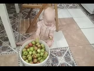 Vid 20200726 194207 3 mp4