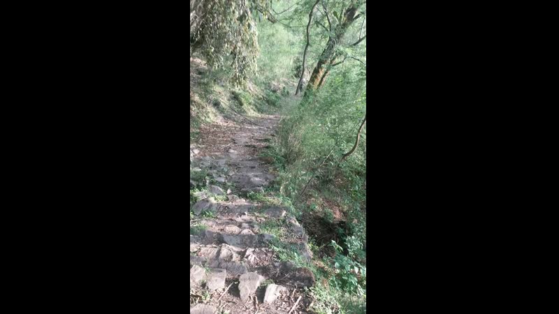 Тропы, тропинки, дорожки, дороги непала 40