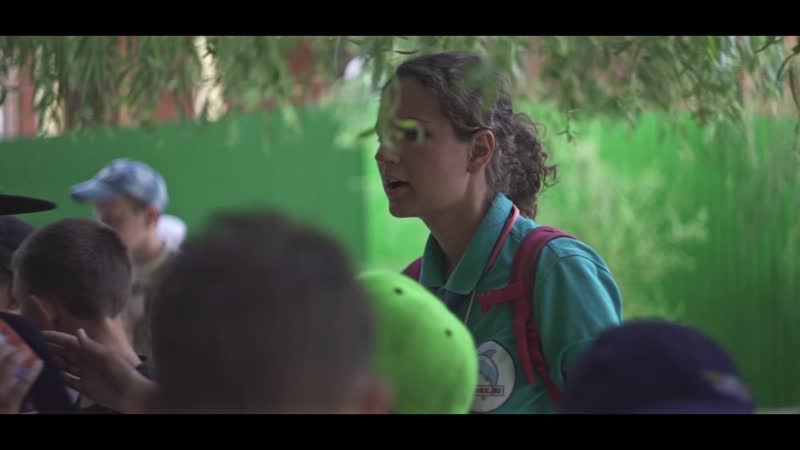 Студенческие педагогические отряды