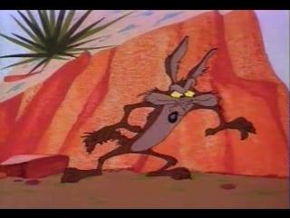 05 stop look and hasten