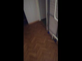 Vid 20201117 173244 mp4