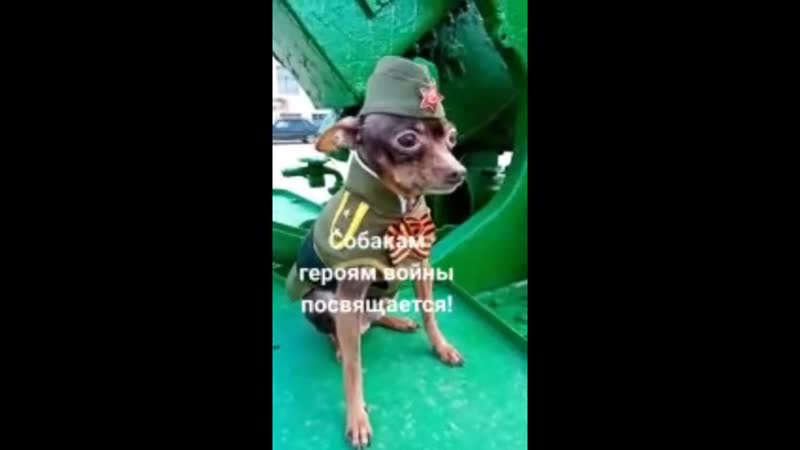 Воинам снр посвящается