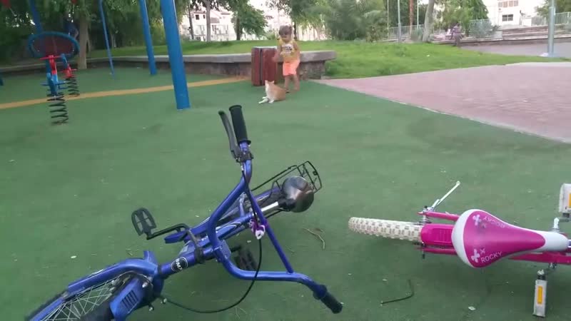 Старшой очищает площадку от биомусора