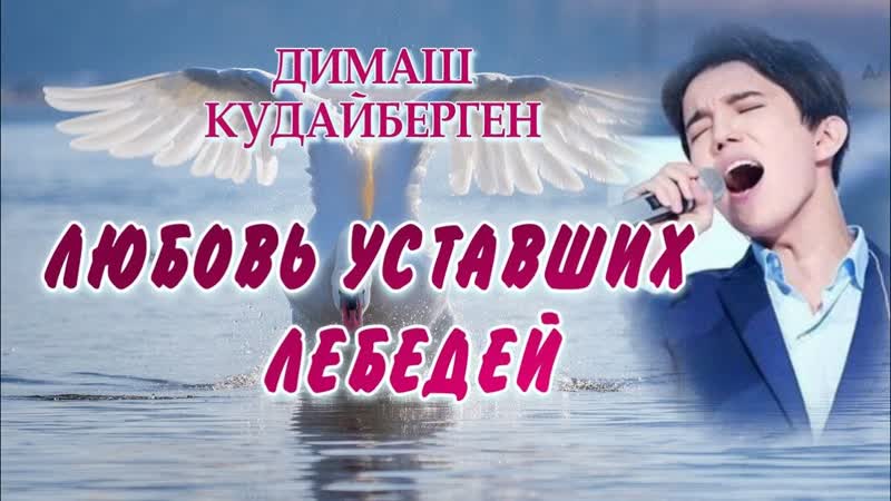 Димаш құдайберген «шаршаған аққулардың махаббаты»