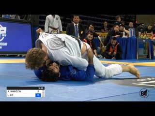 Leandro lo vs adam wardzinski sf #ibjjfpan19