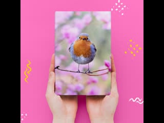 Максимилиан волошин «эта бледная весна»