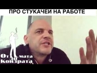 Стукачи на работе стук стук